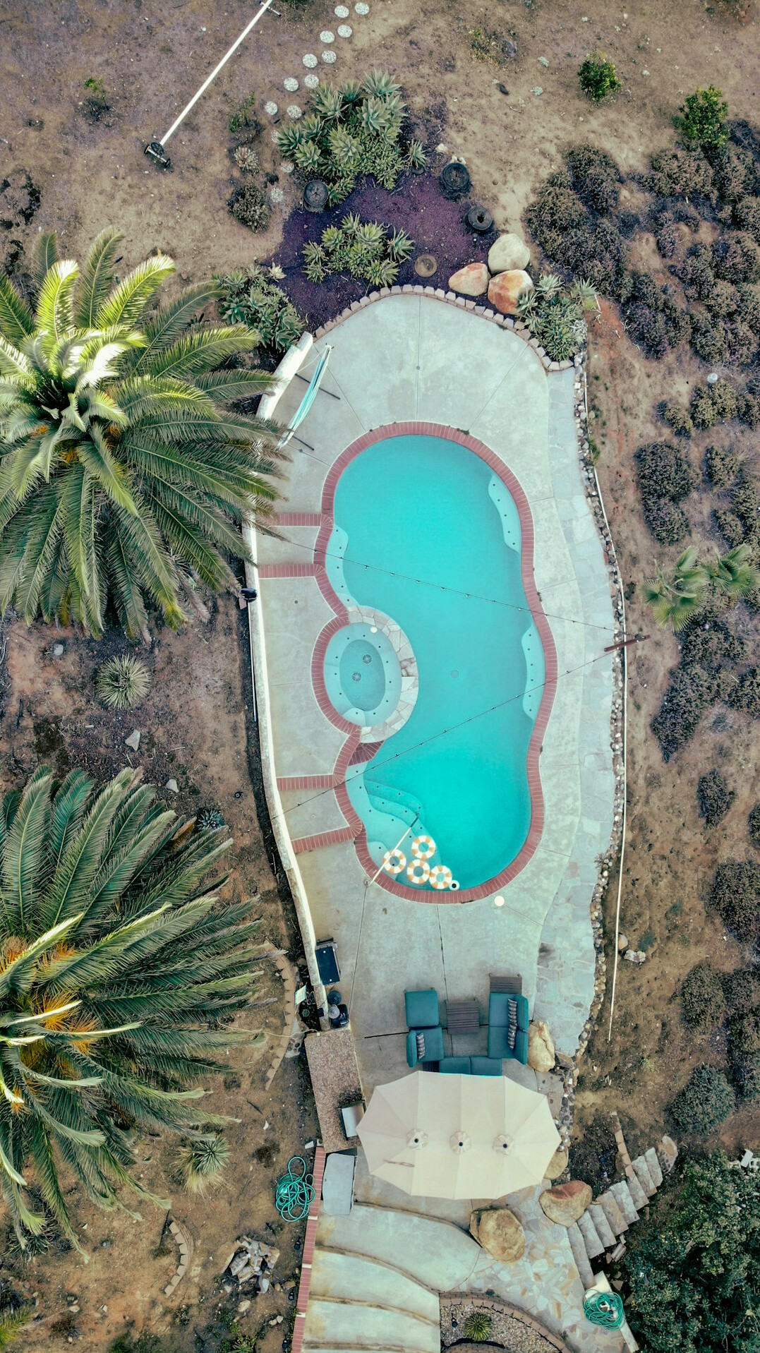 celebrity backyard pool